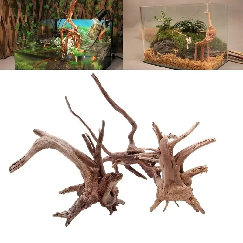 Planted Aquarium With Driftwood - Natürlicher Baumstamm Treibholz Aquarium Aquarium Reptilien