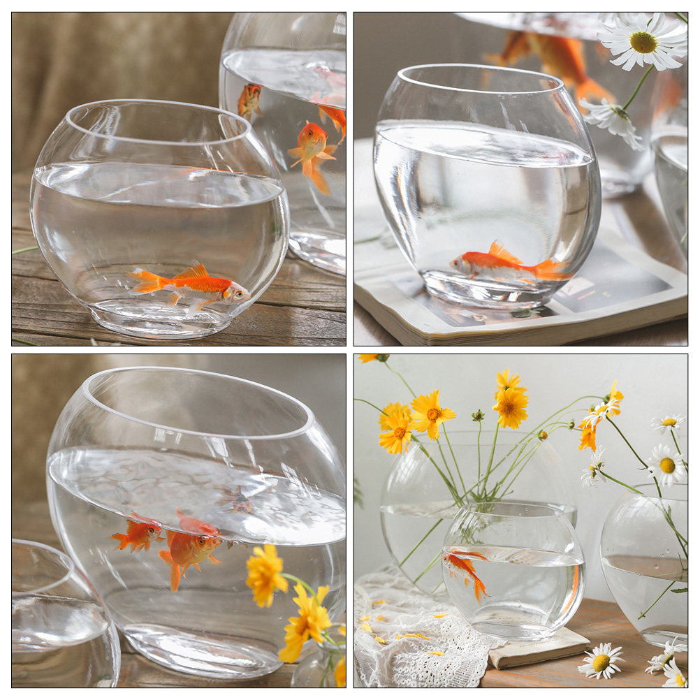 Planted Aquarium For Goldfish - Elegantes Glas-Aquarium mit kristallähnlichem transparentem Design,