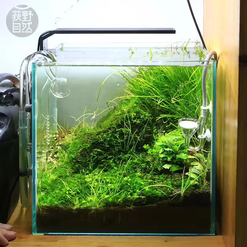 Planted Aquarium Mini - Spirituosen C-Serie ADA-Stil Pflanze wachsen LED-Licht