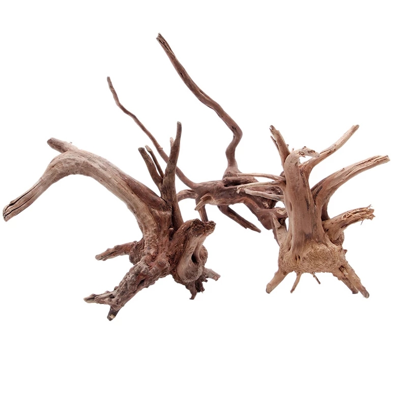 Planted Aquarium With Driftwood - Natürlicher Holzstamm Treibholz Baum Aquarium Fischbecken