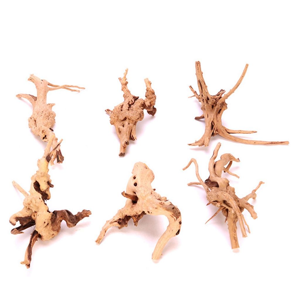 Planted Aquarium With Driftwood - Holz N1N Landschaftsbau Aquarium Dekoration Reptil