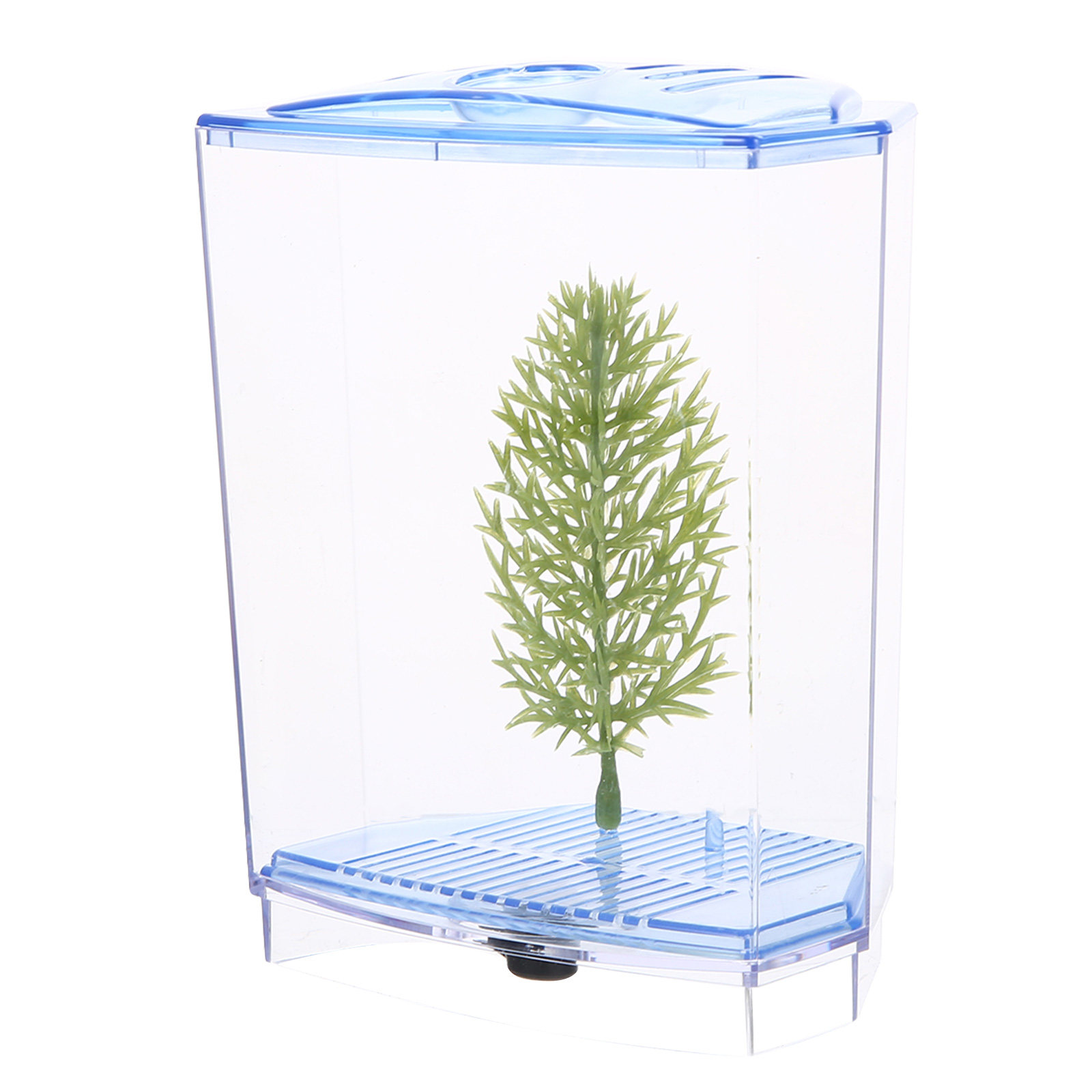 Planted Aquarium For Goldfish - Mini-Aquarium aus Klarem Kunststoff für Schreibtisch,