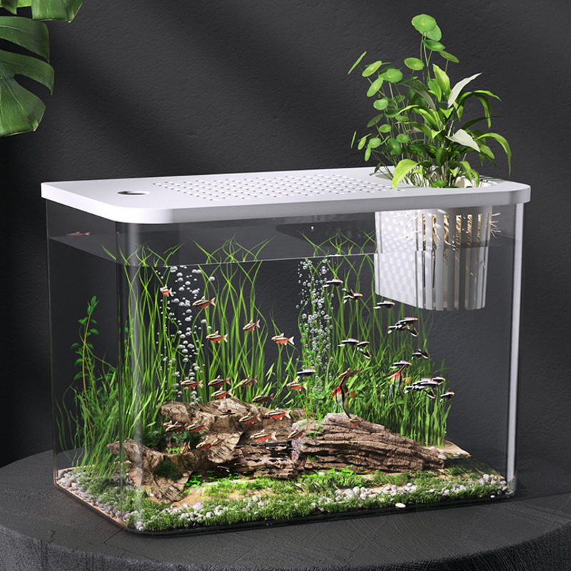 Planted Aquarium For Goldfish - Kunststoff-Aquarium mit Deckel, klares Mini-Desktop-Fischbecken für