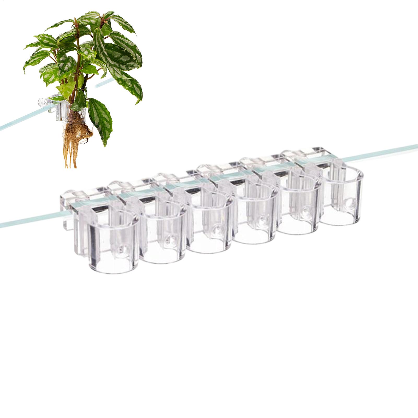 Planted Aquarium Mini - Mini-Aquarium-Pflanzgefäß, 6 Stück, Aquarium-Pflanzenhalter, Stützbecher, Aquarium-Futterspender