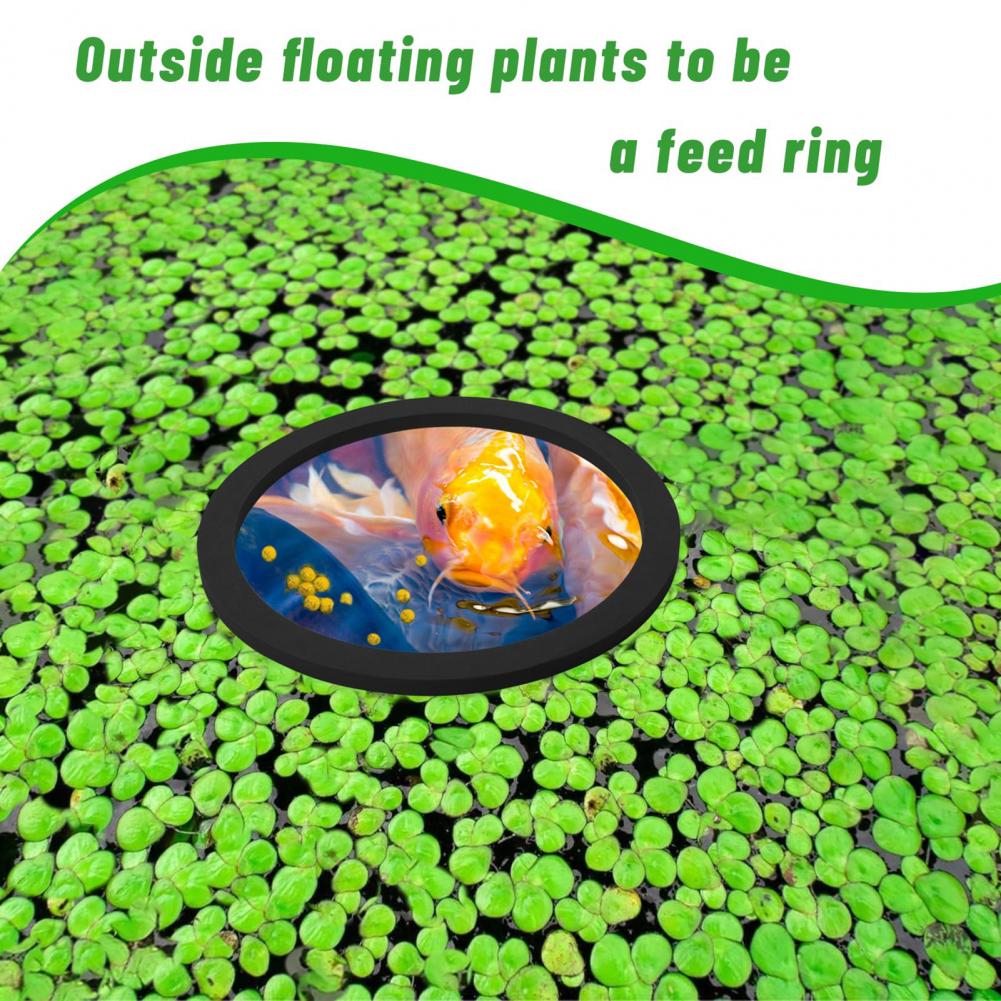 Planted Aquarium For Goldfish - Schwimmring aus Eva-Schaum für Aquarien, schwimmende
