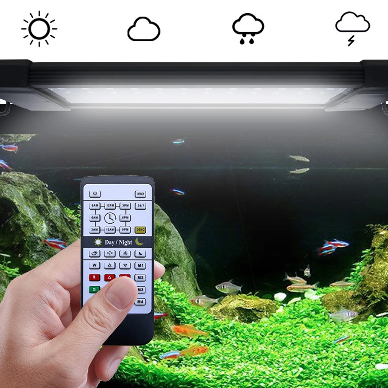 Planted Aquarium Hours - Liweida 24-Stunden-Naturlicht Fernbedienbare RGB-Weiß-Vollspektrum-LED-Aquariumbeleuchtung für Fischbecken
