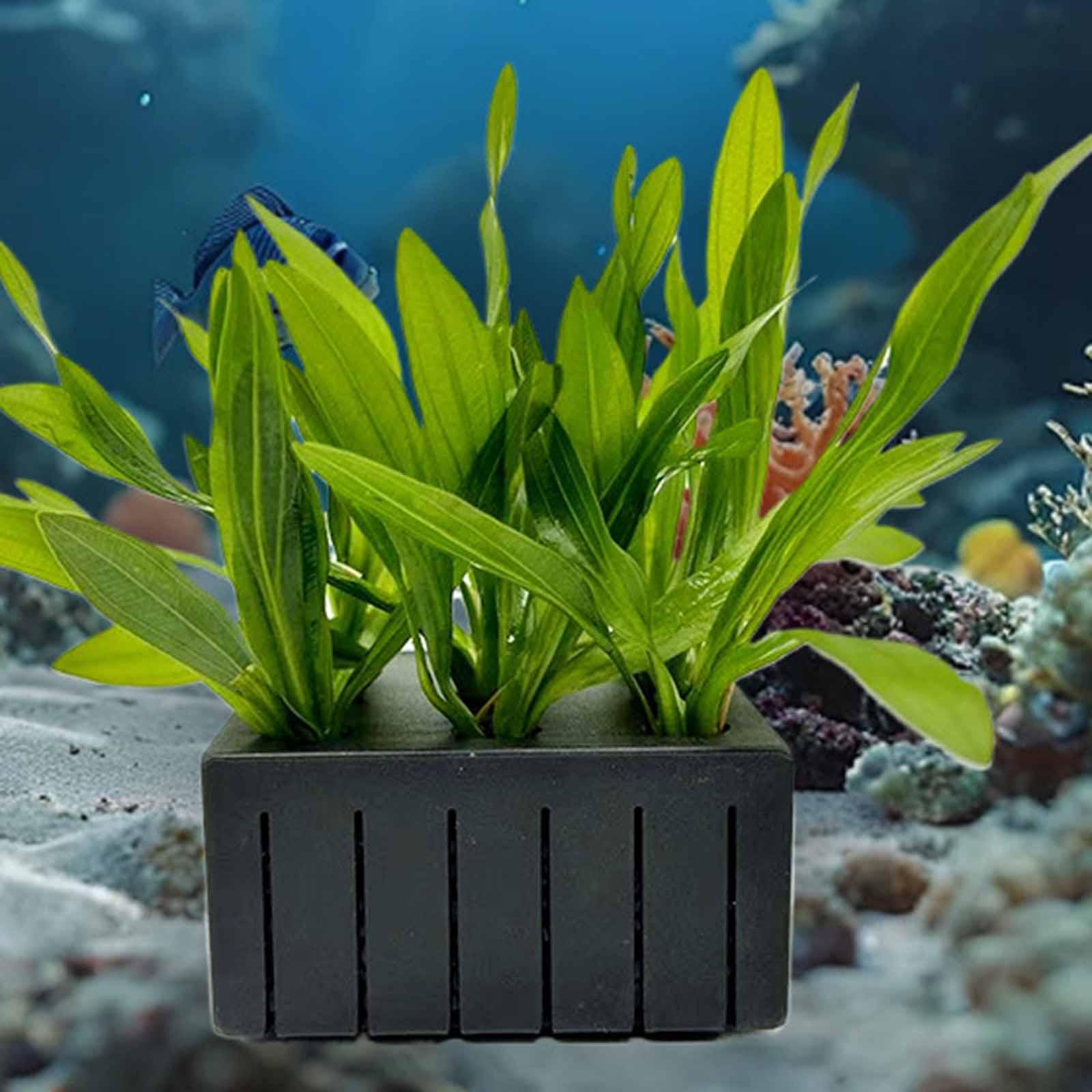 Planted Aquarium Mini - Aquarium Pflanzenkorb PP Kunststoff Hydrokultur Halter