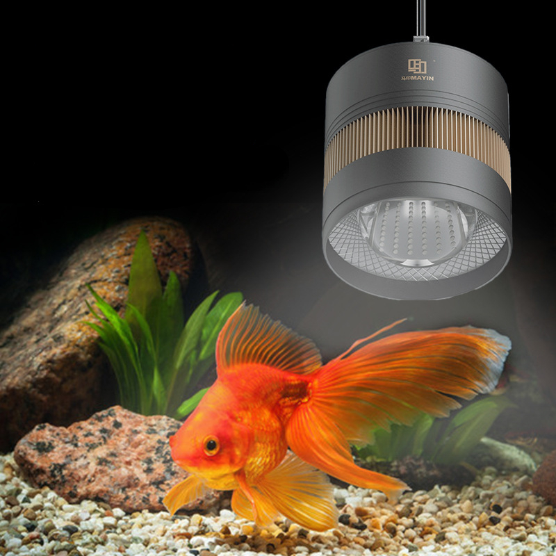 Planted Aquarium For Goldfish - MAYIN Aquarium Vollspektrum Led Downlight Beleuchtung