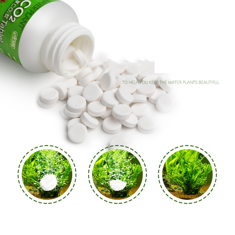 ISTA Aquarium Aquarium CO2 Tab – Planted Aquarium Without Fish Bewertung und Preis