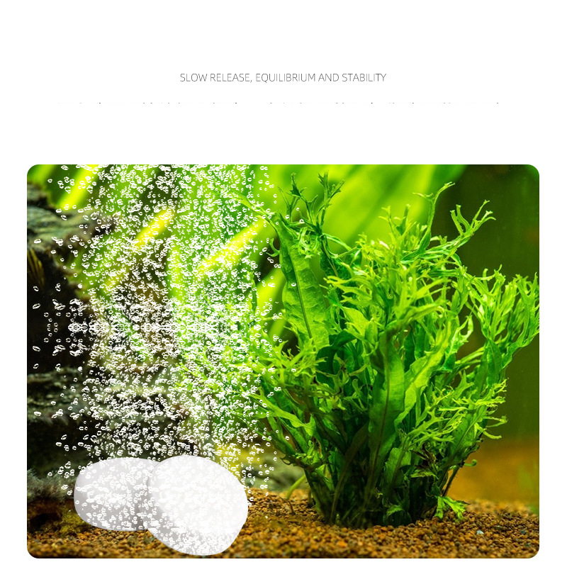 ISTA Aquarium Aquarium CO2 Tab – Planted Aquarium Without Fish Bewertung und Preis
