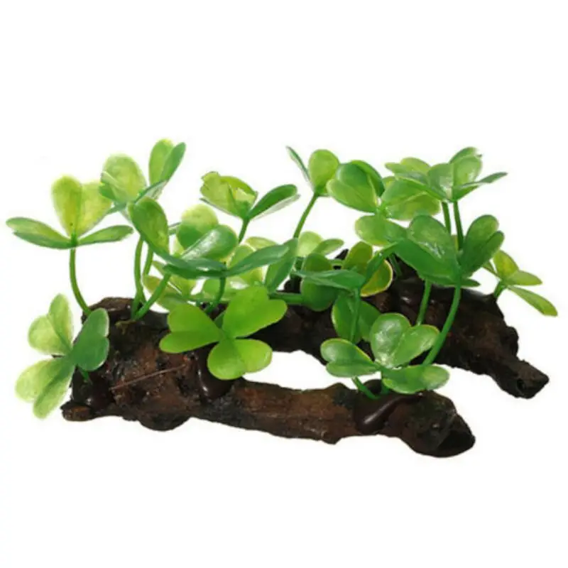 Kunststoff Künstliche Schildkr – Planted Aquarium With Driftwood Bewertung und Preis