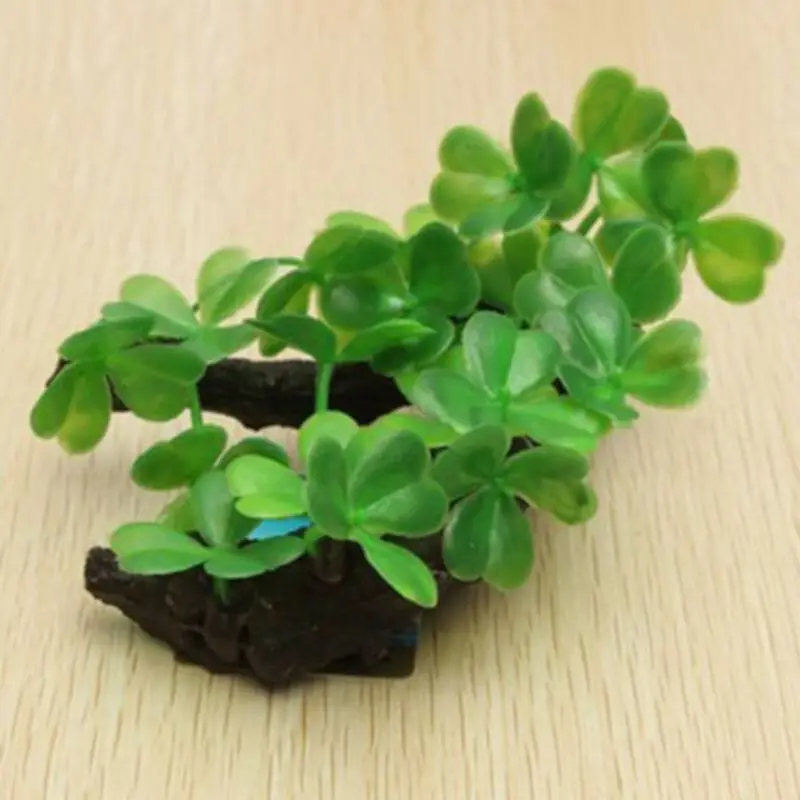 Kunststoff Künstliche Schildkr – Planted Aquarium With Driftwood Bewertung und Preis