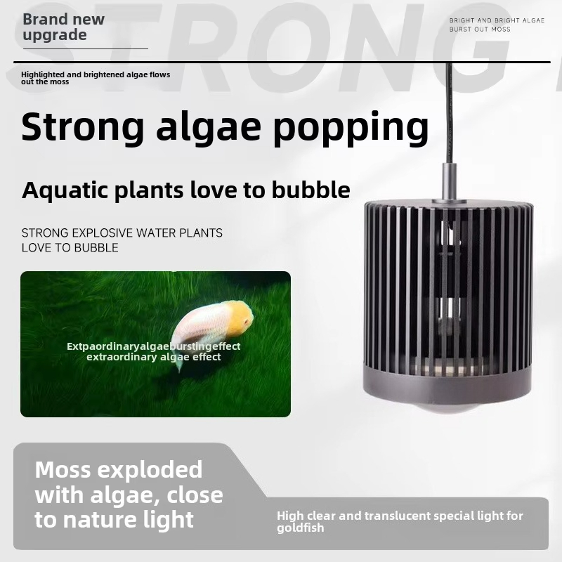 Skynuo Super Color 100W Süßwas – Planted Aquarium For Goldfish Bewertung und Preis