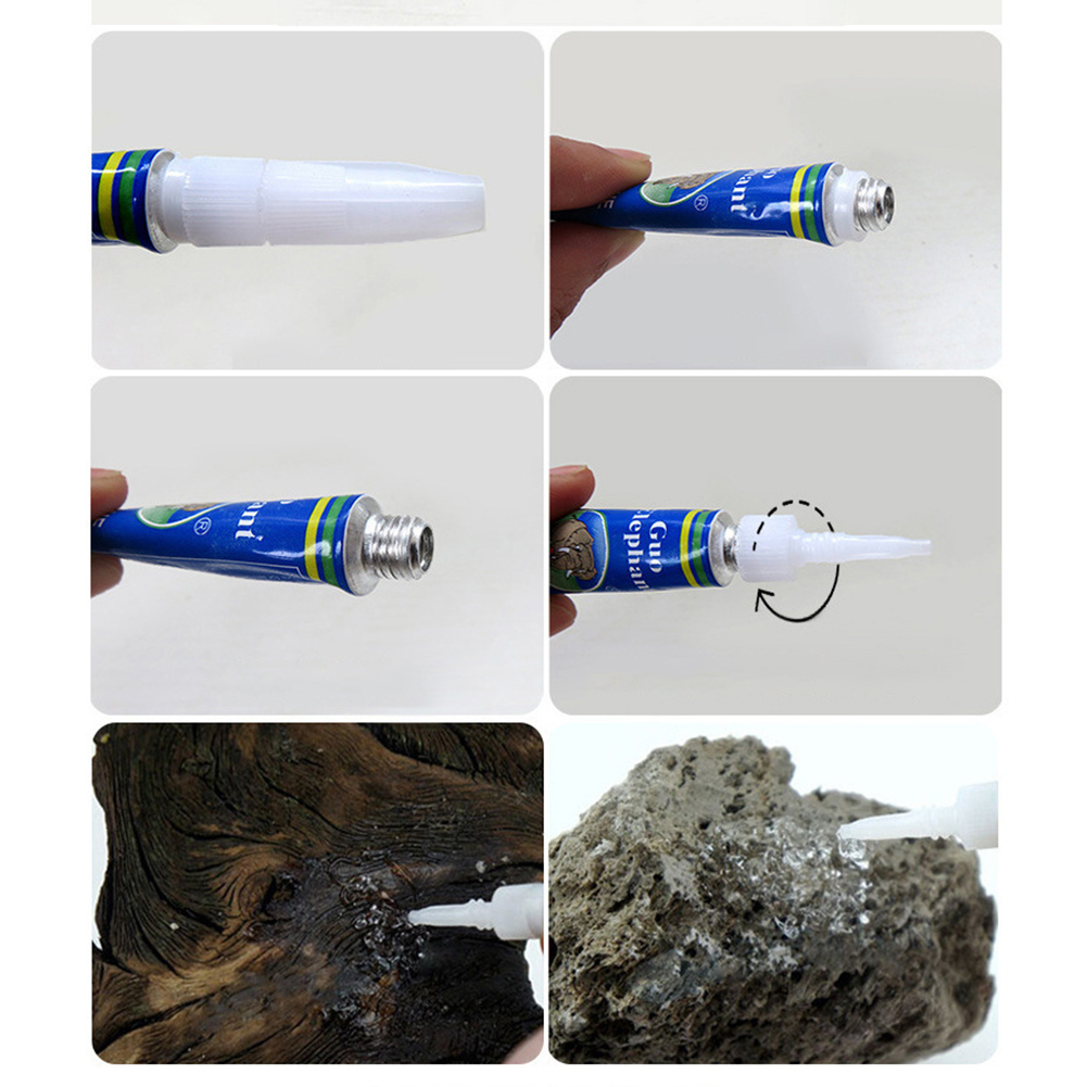 Aquatische Pflanzen Treibholz  – Planted Aquarium With Driftwood Bewertung und Preis