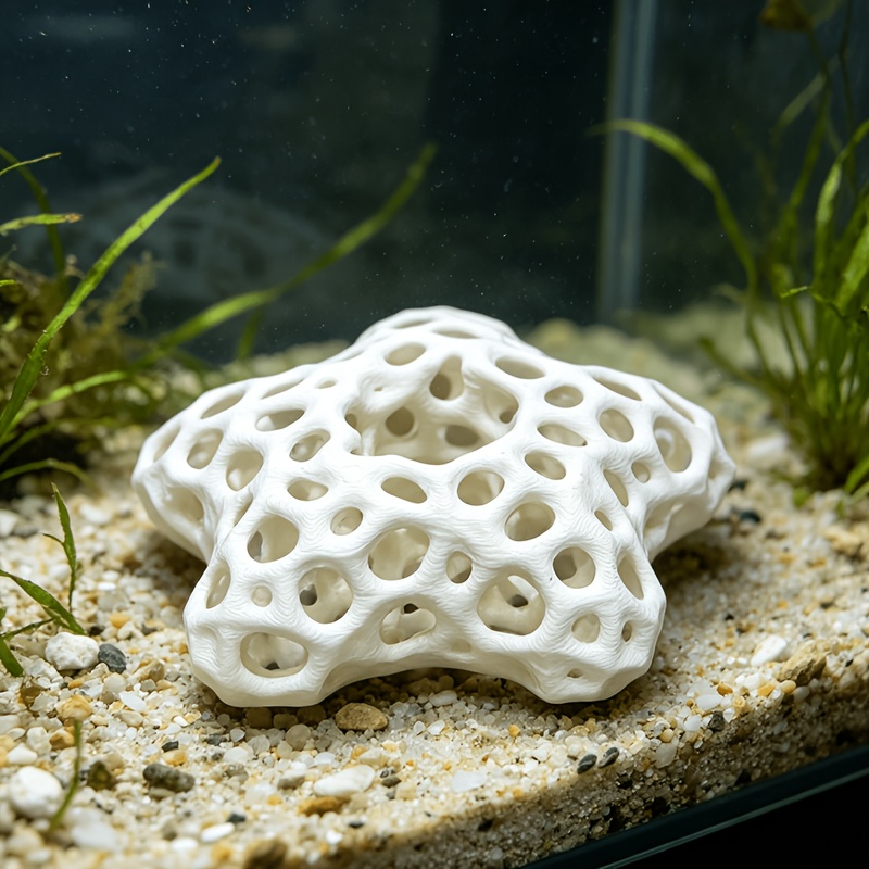 Ausgehöhlter Fünfzackiger Ster – Planted Aquarium Without Fish Bewertung und Preis
