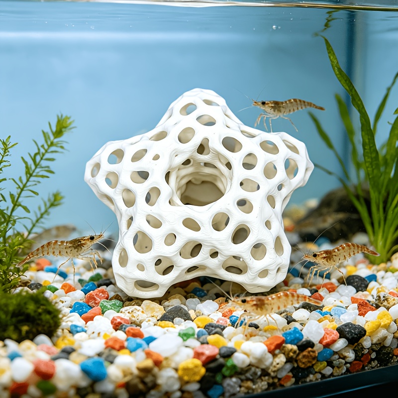 Ausgehöhlter Fünfzackiger Ster – Planted Aquarium Without Fish Bewertung und Preis