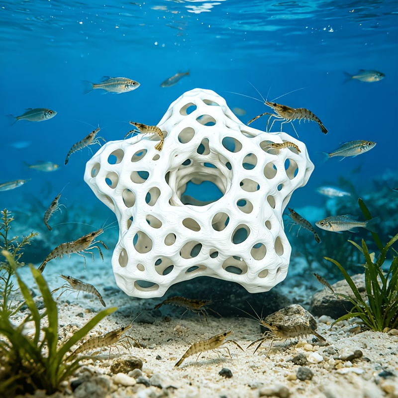 Ausgehöhlter Fünfzackiger Ster – Planted Aquarium Without Fish Bewertung und Preis