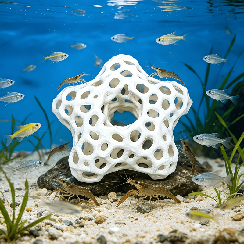 Ausgehöhlter Fünfzackiger Ster – Planted Aquarium Without Fish Bewertung und Preis