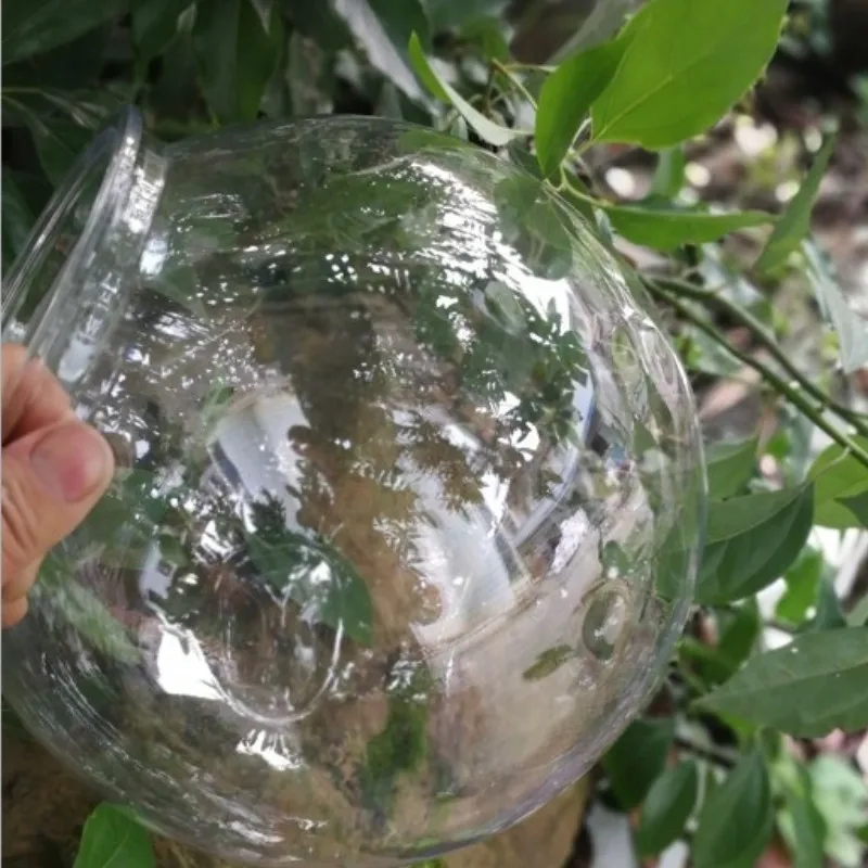Goldfisch schüssel desktop tra – Planted Aquarium For Goldfish Bewertung und Preis