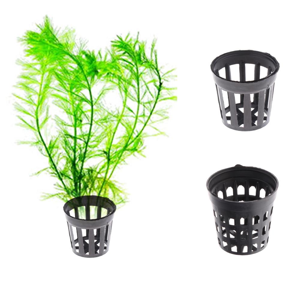 Langlebiger schwarzer Pflanzko – Planted Aquarium Mini Bewertung und Preis