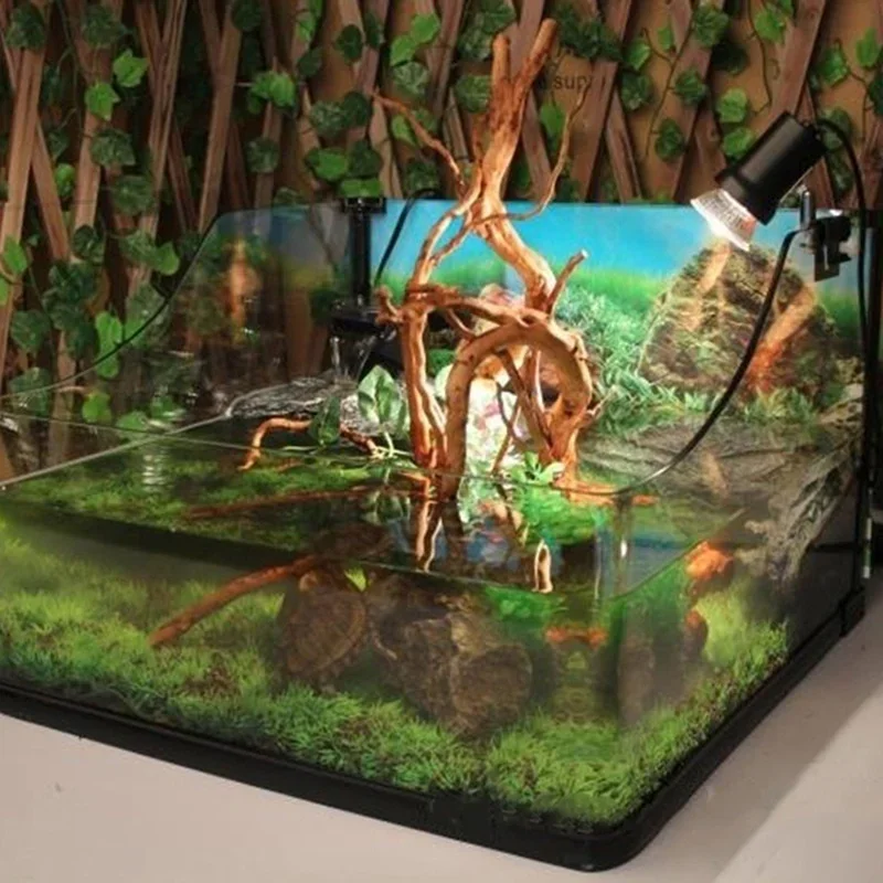 Natürlicher Baumstamm Treibhol – Planted Aquarium With Driftwood Bewertung und Preis