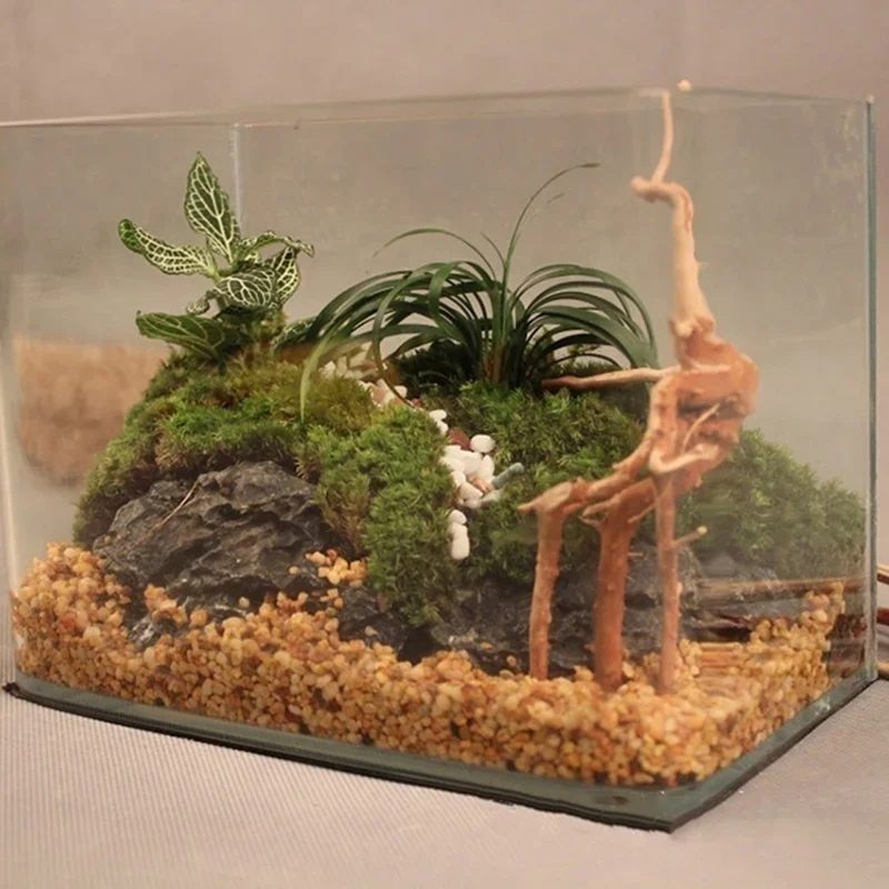 Natürlicher Baumstamm Treibhol – Planted Aquarium With Driftwood Bewertung und Preis