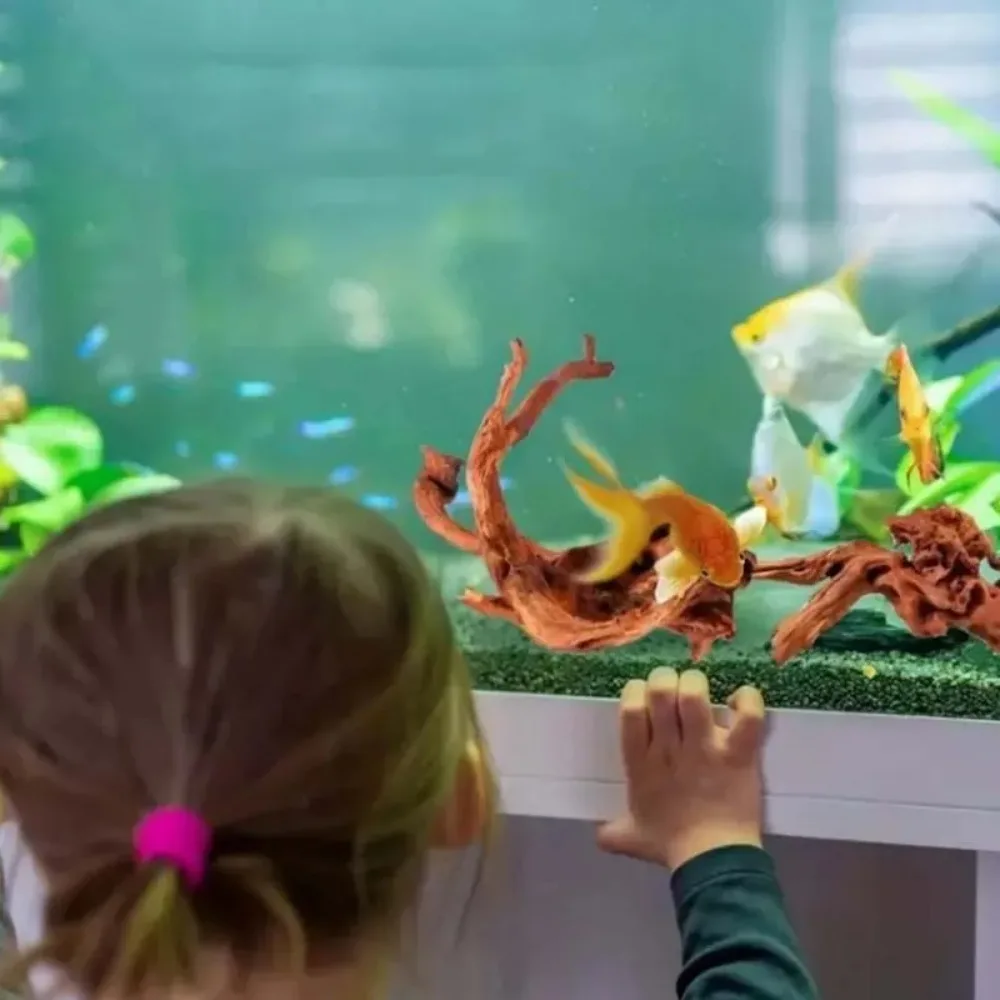 Neues Natürliches Kleines Baum – Planted Aquarium With Driftwood Bewertung und Preis