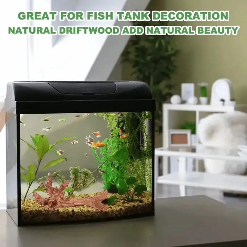 Neues Natürliches Kleines Baum – Planted Aquarium With Driftwood Bewertung und Preis