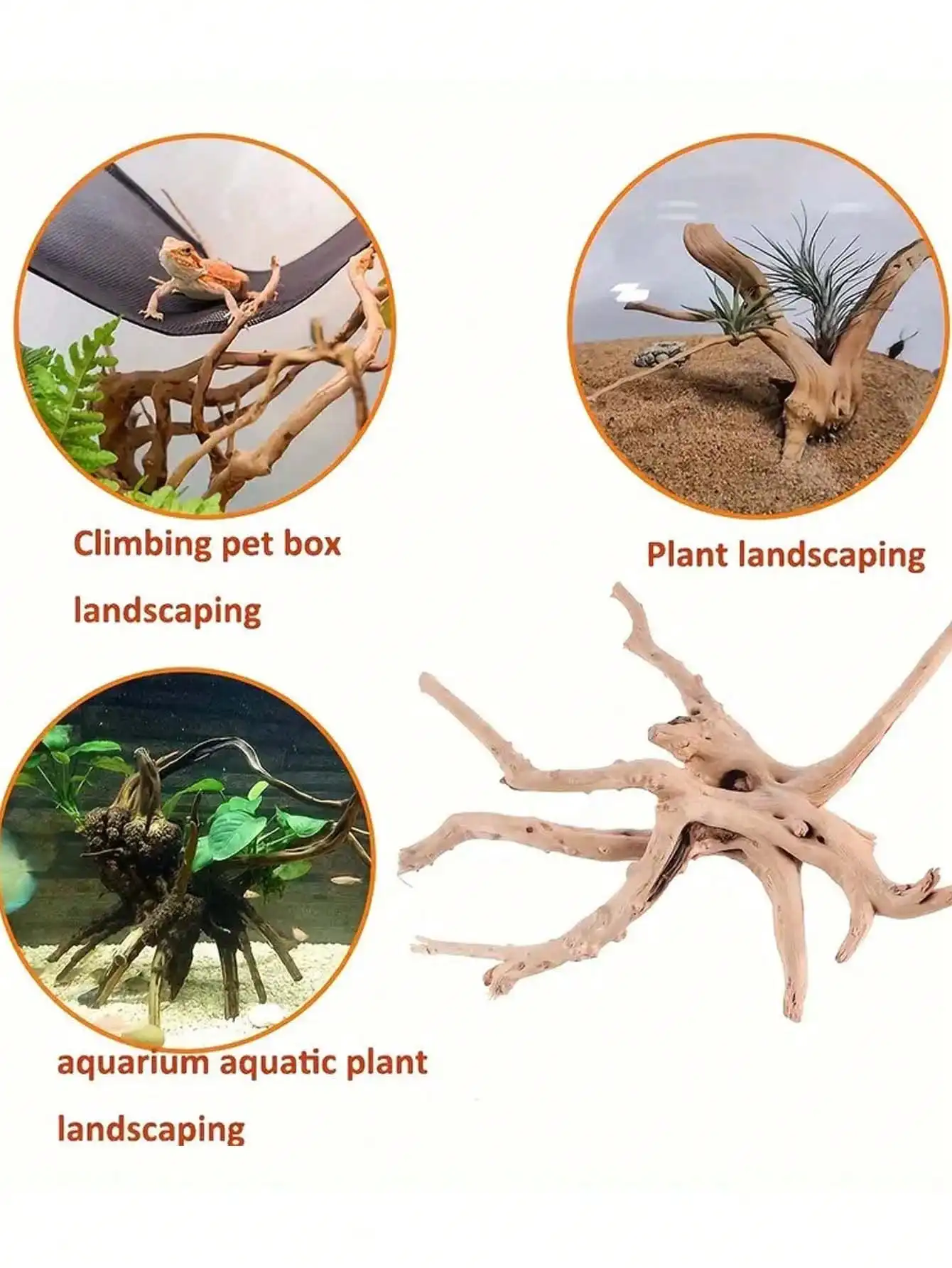 Neues Natürliches Kleines Baum – Planted Aquarium With Driftwood Bewertung und Preis