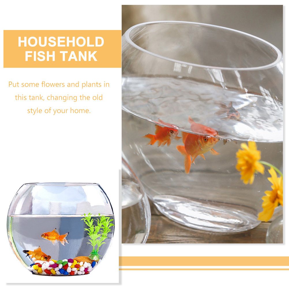 Elegantes Glas-Aquarium mit kr – Planted Aquarium For Goldfish Bewertung und Preis