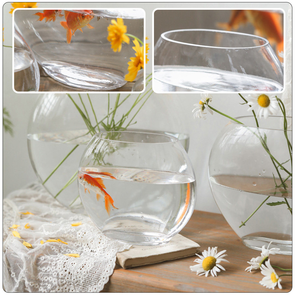 Elegantes Glas-Aquarium mit kr – Planted Aquarium For Goldfish Bewertung und Preis