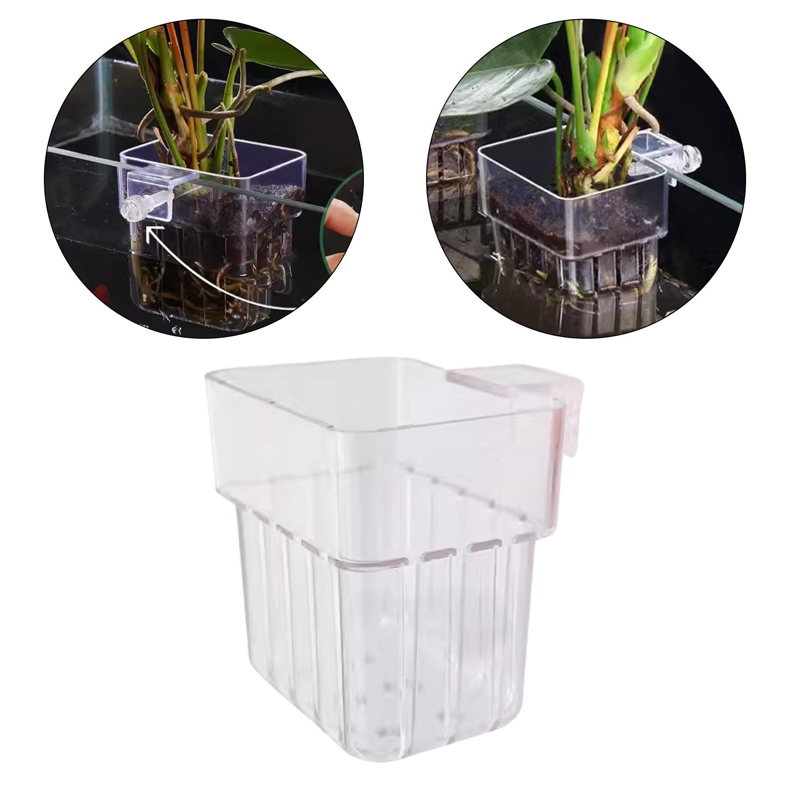 Aquarium-Pflanzenhalter Transp – Planted Aquarium Mini Bewertung und Preis