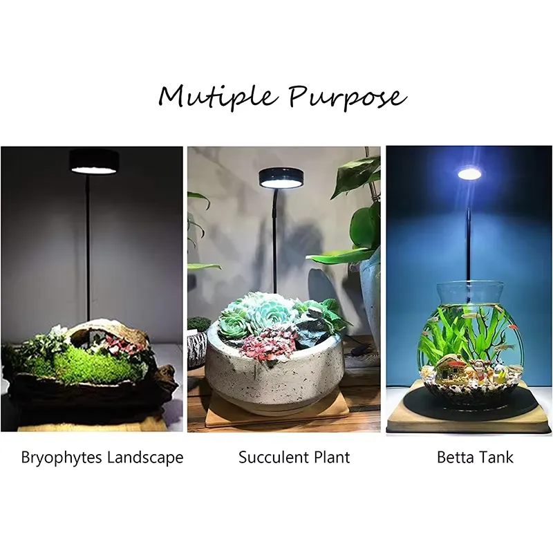 Vollspektrum-LED-Licht mit Leu – Planted Aquarium Hours Bewertung und Preis