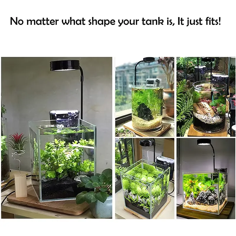 Vollspektrum-LED-Licht mit Leu – Planted Aquarium Hours Bewertung und Preis