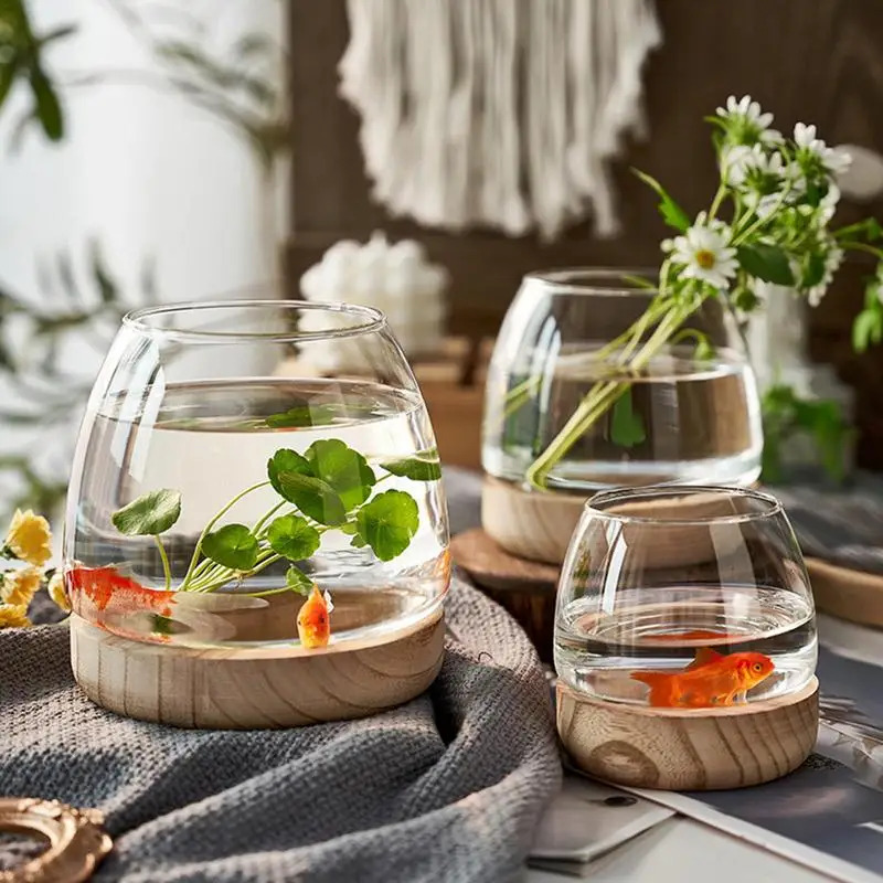 Dekoratives rundes Glas-Aquari – Planted Aquarium For Goldfish Bewertung und Preis