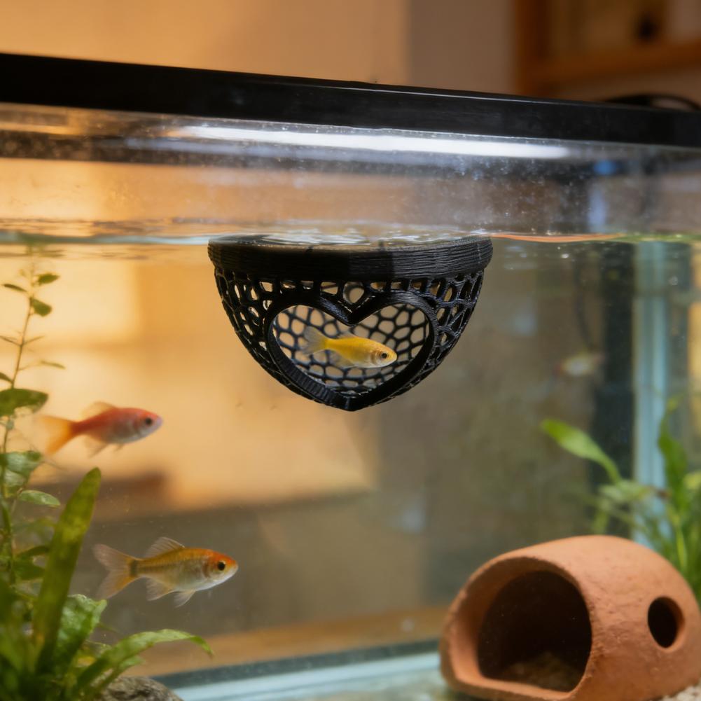 Herzförmige Aquarium-Versteckh – Planted Aquarium Without Fish Bewertung und Preis