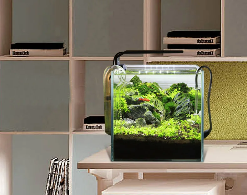 Spirituosen C-Serie ADA-Stil P – Planted Aquarium Mini Bewertung und Preis