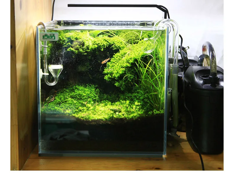 Spirituosen C-Serie ADA-Stil P – Planted Aquarium Mini Bewertung und Preis