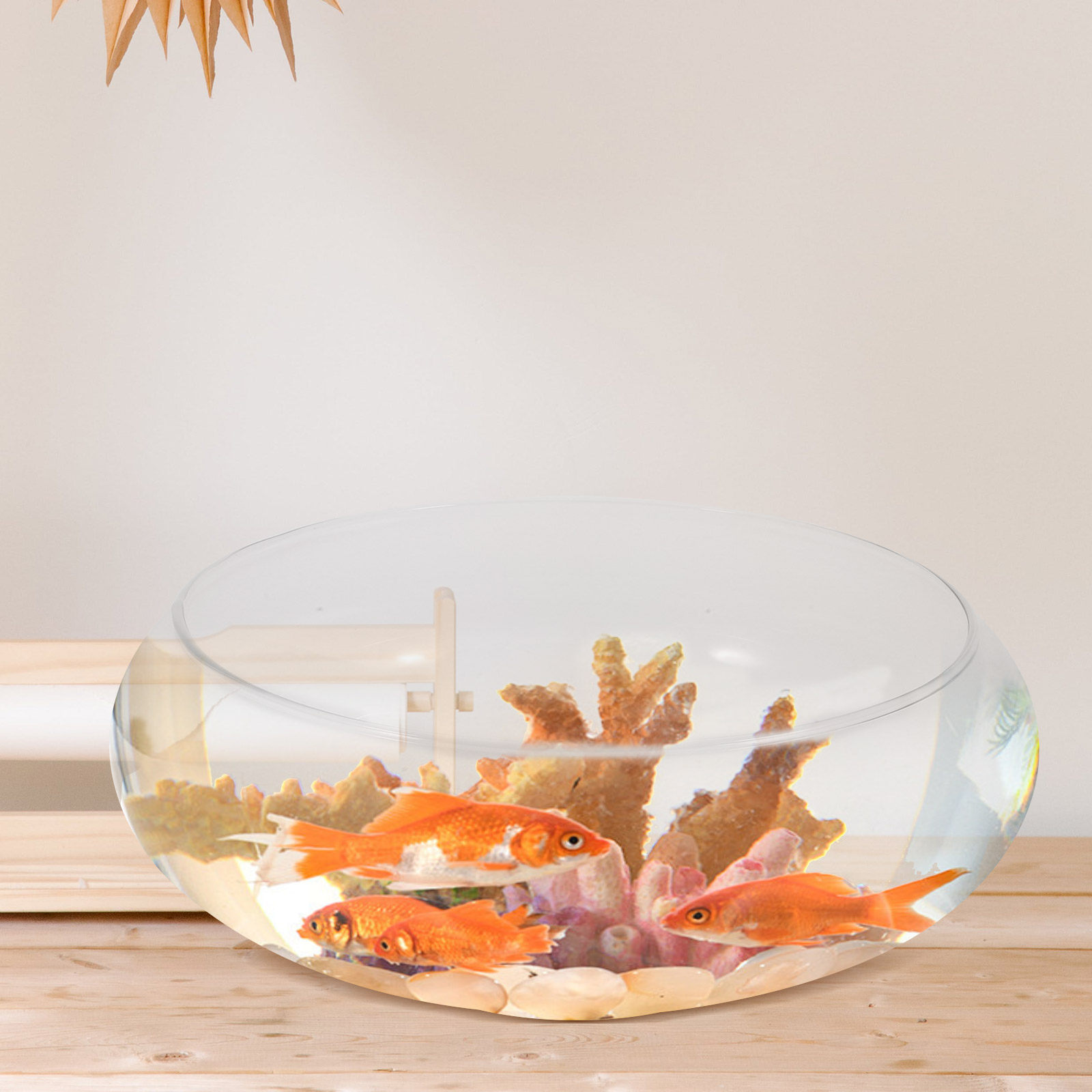 Premium Transparentes Glas-Fis – Planted Aquarium For Goldfish Bewertung und Preis