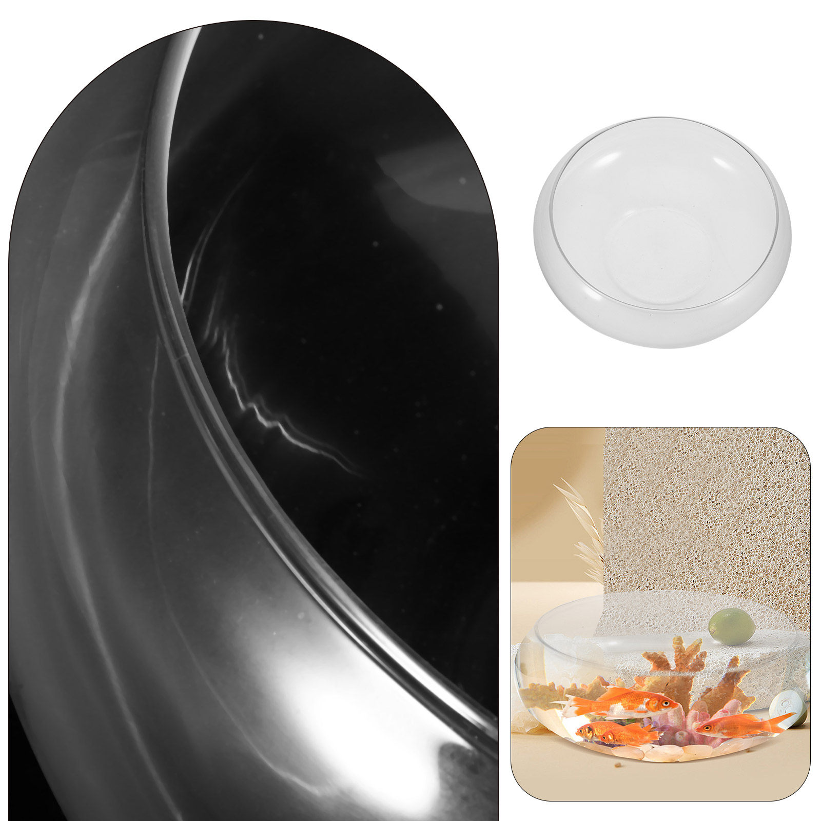 Premium Transparentes Glas-Fis – Planted Aquarium For Goldfish Bewertung und Preis