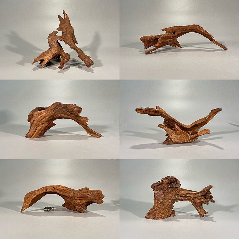 Natürliches Treibholz, Aquariu – Planted Aquarium With Driftwood Bewertung und Preis
