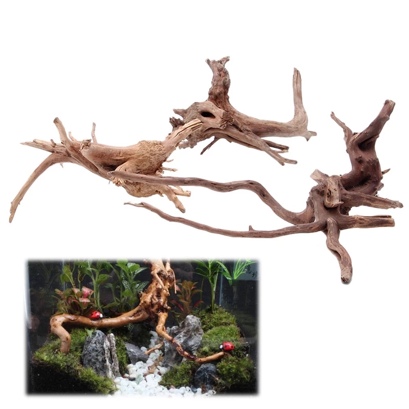 Natürlicher Holzstamm Treibhol – Planted Aquarium With Driftwood Bewertung und Preis