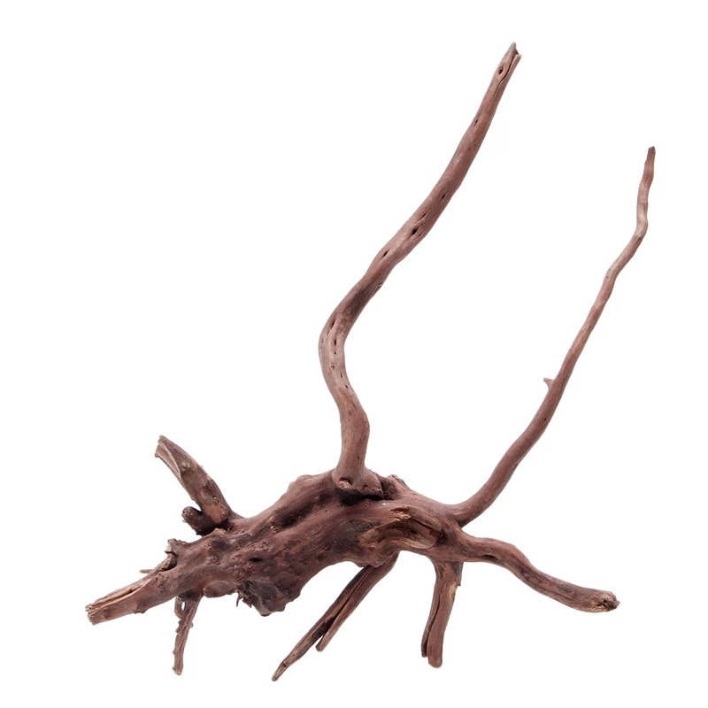 Natürlicher Holzstamm Treibhol – Planted Aquarium With Driftwood Bewertung und Preis