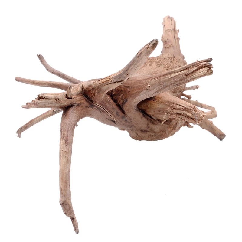 Natürlicher Holzstamm Treibhol – Planted Aquarium With Driftwood Bewertung und Preis