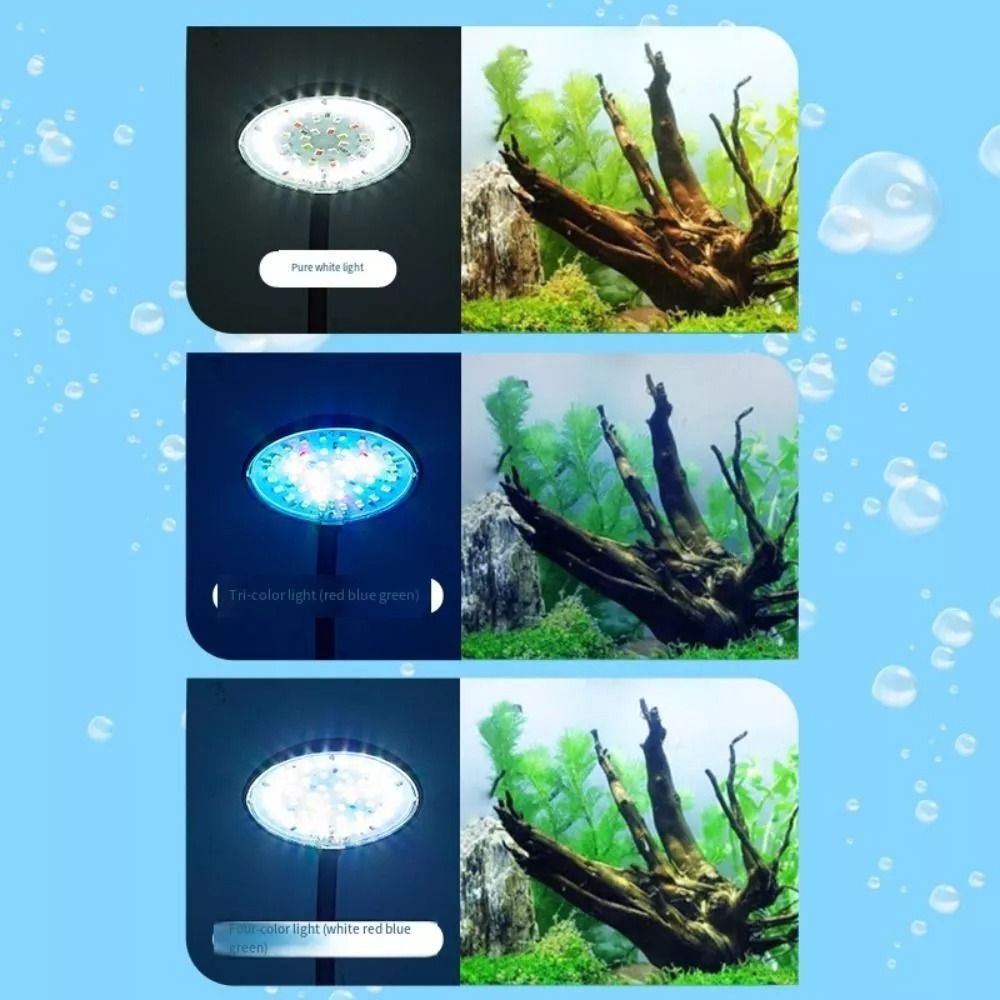 Neue Mini Aquarium Clip Lampe  – Planted Aquarium Mini Bewertung und Preis