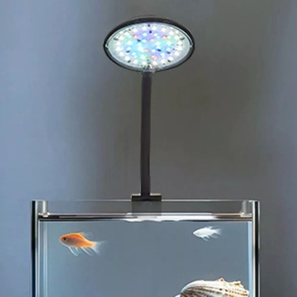Neue Mini Aquarium Clip Lampe  – Planted Aquarium Mini Bewertung und Preis