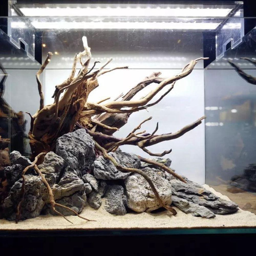 Kunstwerk Dekor Holz Reptil Aq – Planted Aquarium With Driftwood Bewertung und Preis