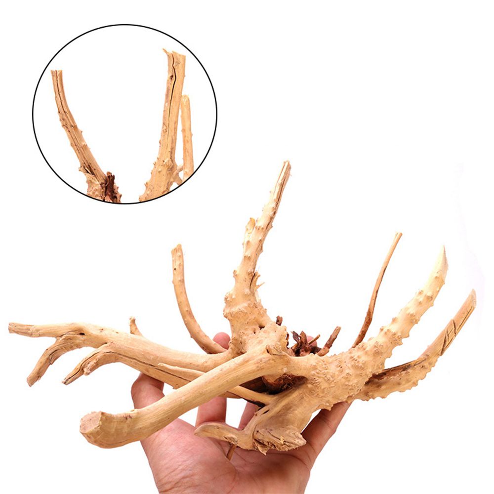Holz N1N Landschaftsbau Aquari – Planted Aquarium With Driftwood Bewertung und Preis