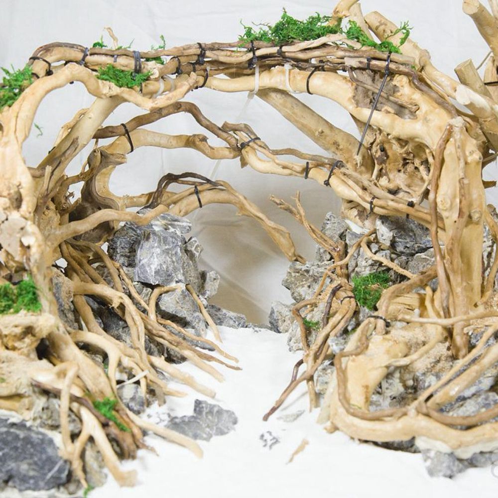 Holz N1N Landschaftsbau Aquari – Planted Aquarium With Driftwood Bewertung und Preis