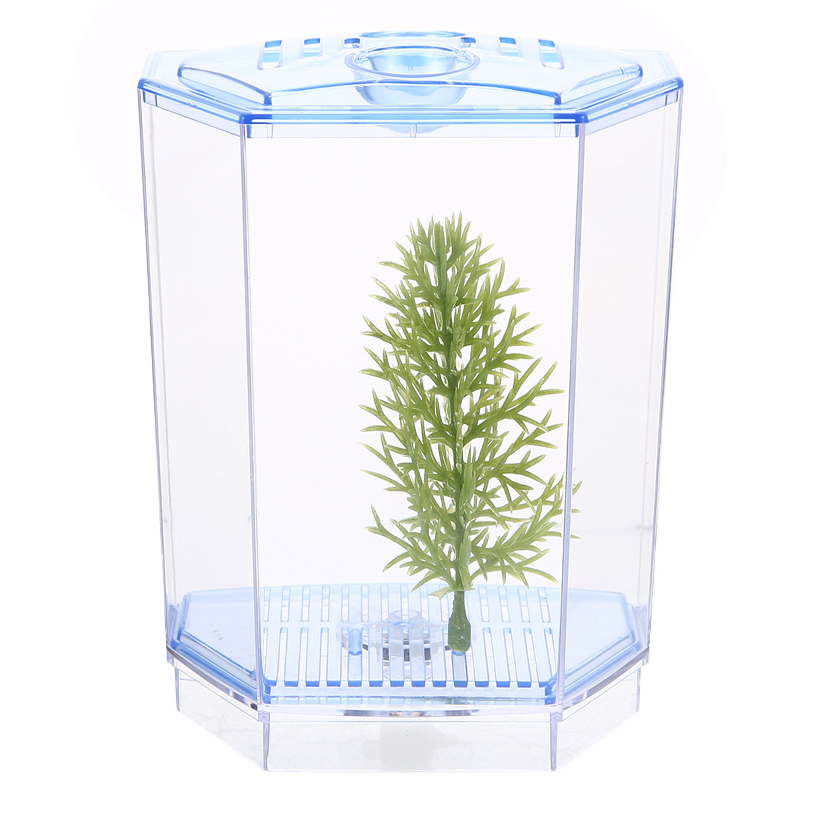 Mini-Aquarium aus Klarem Kunst – Planted Aquarium For Goldfish Bewertung und Preis
